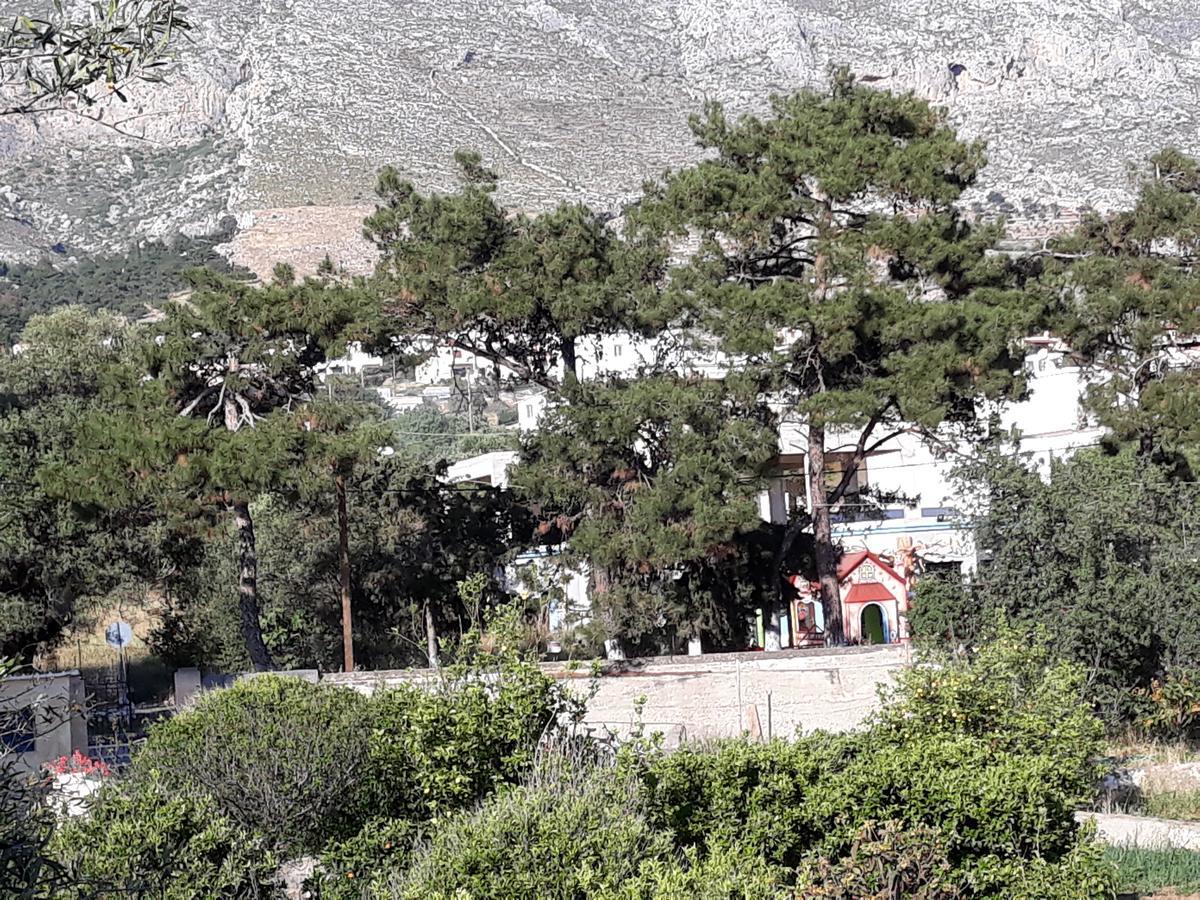 Mela Studios Panormos  Luaran gambar