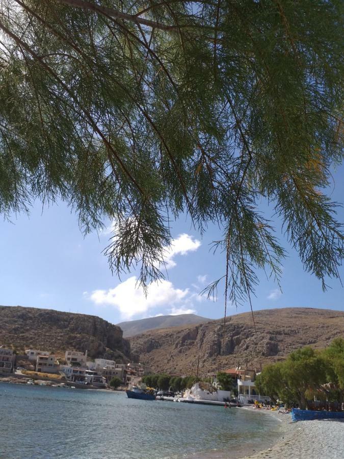 Mela Studios Panormos  Luaran gambar