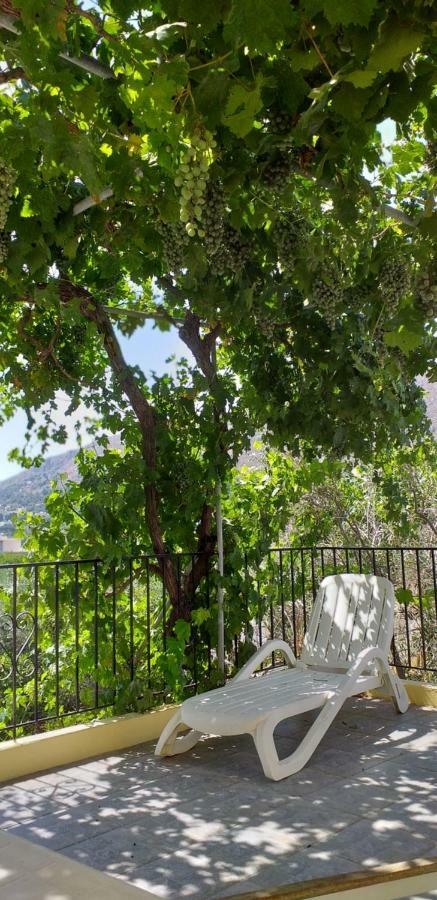 Mela Studios Panormos  Luaran gambar